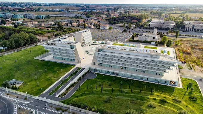 Roma Tor Vergata Üniversitesi